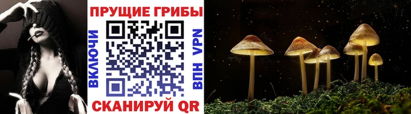 Псилоцибиновые грибы прущие грибы  Купить где  Костерёво 